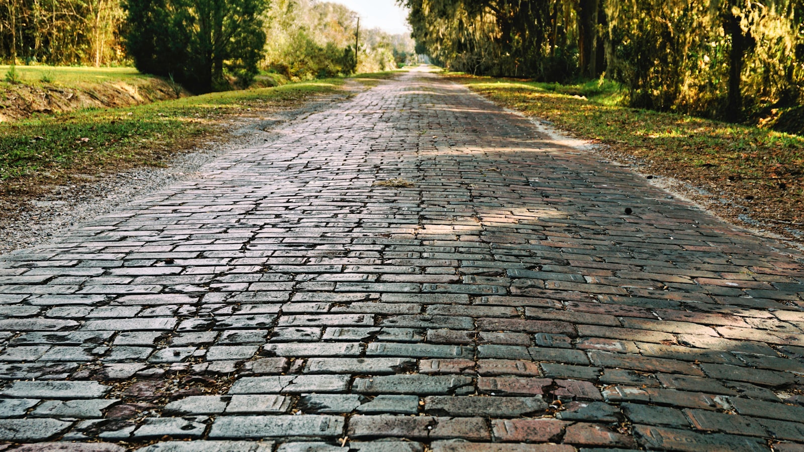 A long cobblestone road lined with trees