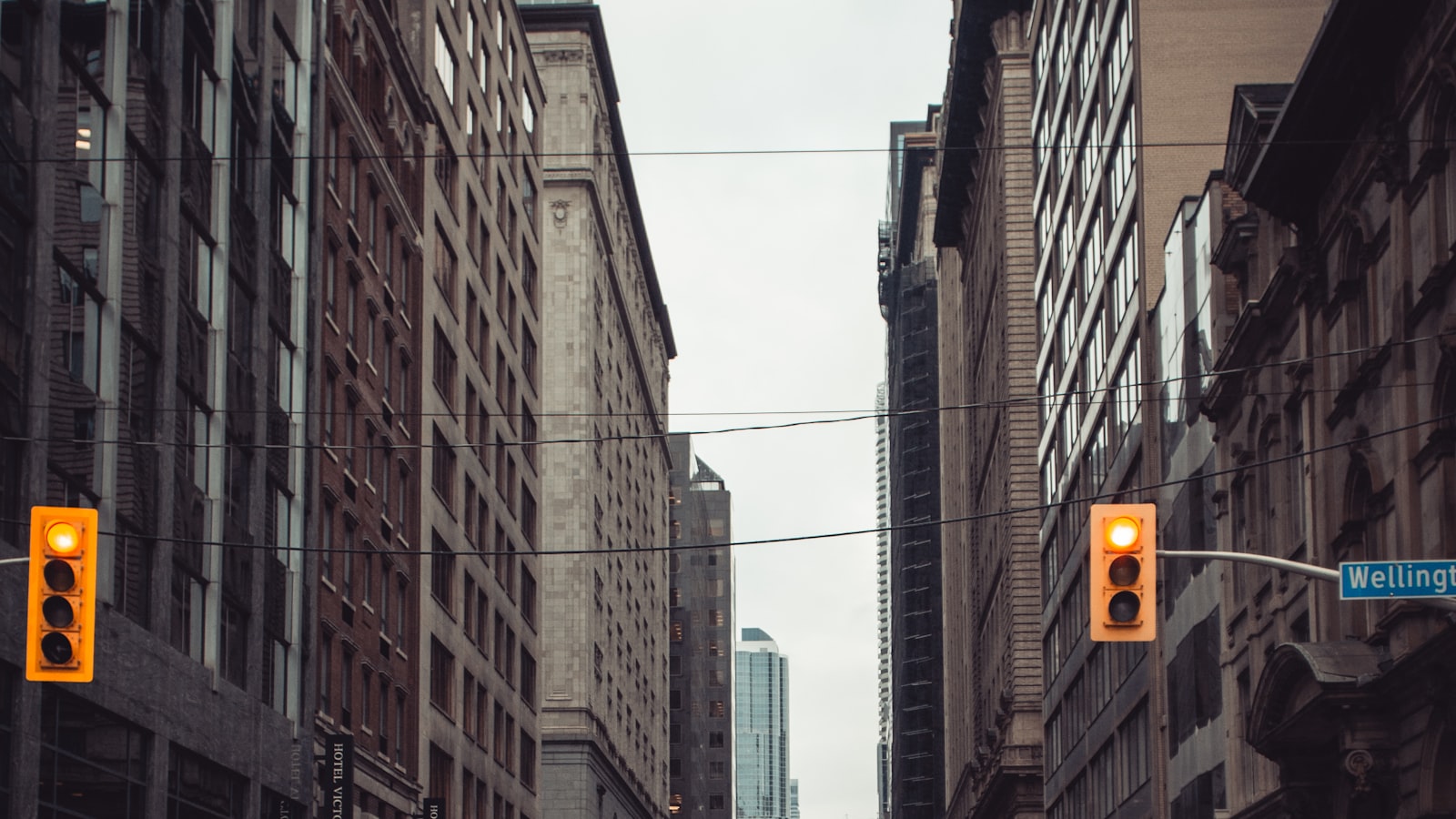 Traffic signals above Wellington Street in downtown Toronto